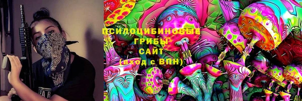 соль ск Касимов