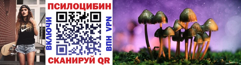 купить  цена  Кимовск  Галлюциногенные грибы Psilocybe 